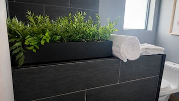 Douche, serviettes fournies