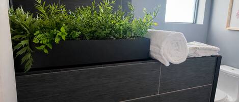 Douche, serviettes fournies
