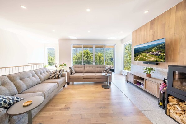 TV, fireplace, stereo, offices