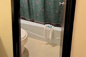 Đồ dùng nhà tắm được thiết kế riêng, máy sấy tóc, xà phòng, dầu gội 