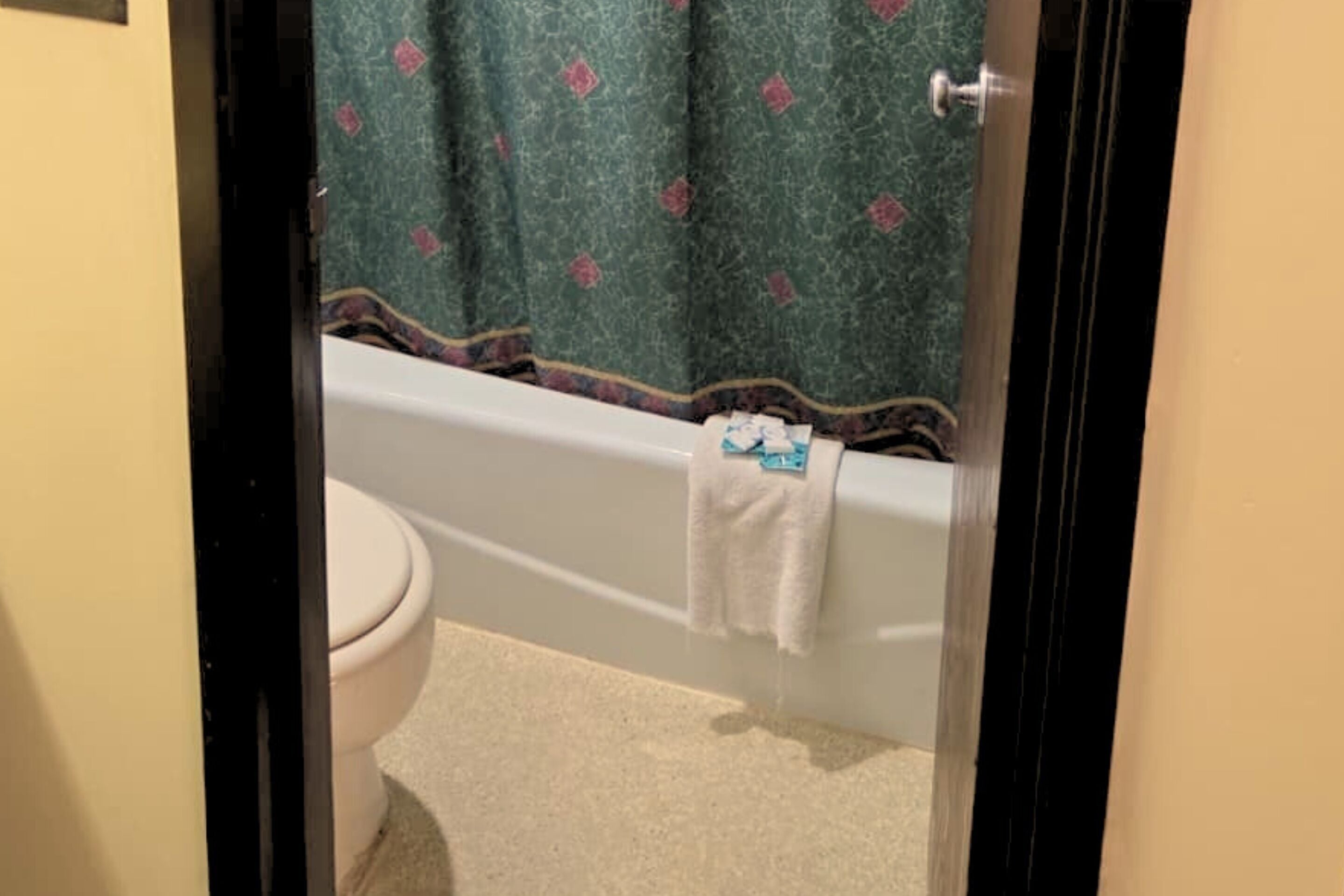 Standard 1 Double Bed Non Smoking Pet Room | Baño | Amenidades de baño de diseñador, secadora de cabello, jabón, shampoo 