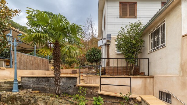 A residential building with a stone wall, a palm tree, and a staircase leading to a balcony.