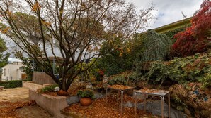 A garden with a tree, a table, and a bench.