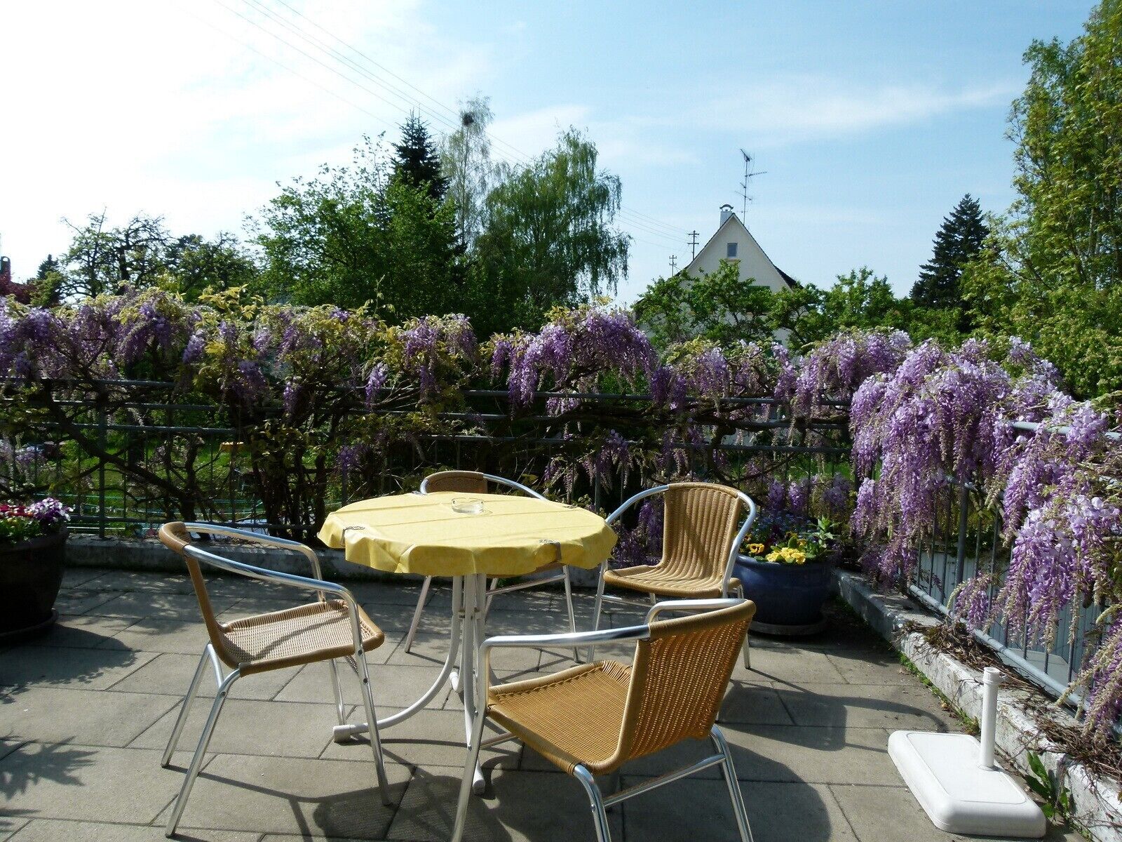 Opções para refeição ao ar livre