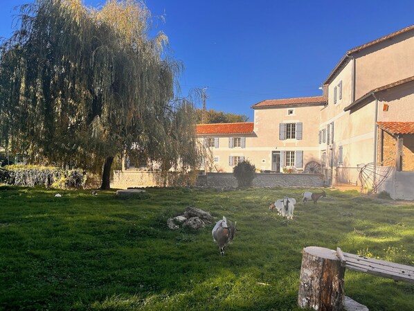 Front of property - Le Moulin De La Parenthèse (Sommières-du-Clain)