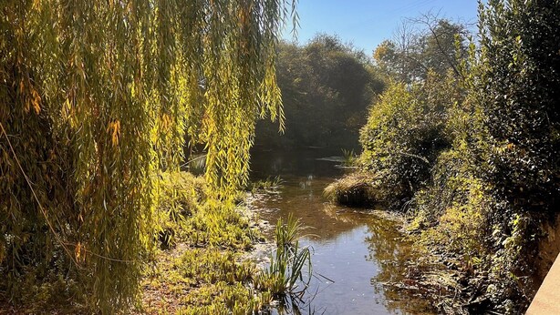 A serene riverside scene with clear water, lush greenery, and a concrete path alongside. - Le Moulin De La Parenthèse (Sommières-du-Clain)