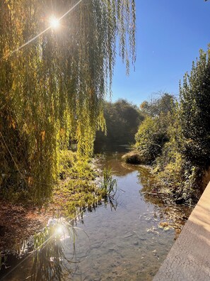 A serene riverside scene with clear water, lush greenery, and a concrete path alongside. - Le Moulin De La Parenthèse (Sommières-du-Clain)