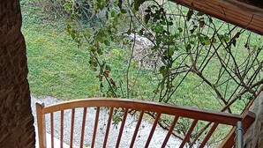 Eine Holztreppe mit Metallgeländer führt zu einem Balkon mit Blick auf eine Rasenfläche, Bäume und eine Steinmauer.