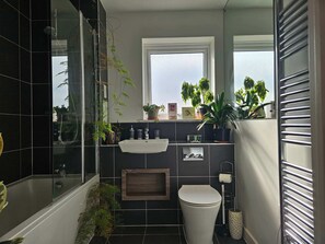 Shower, hair dryer