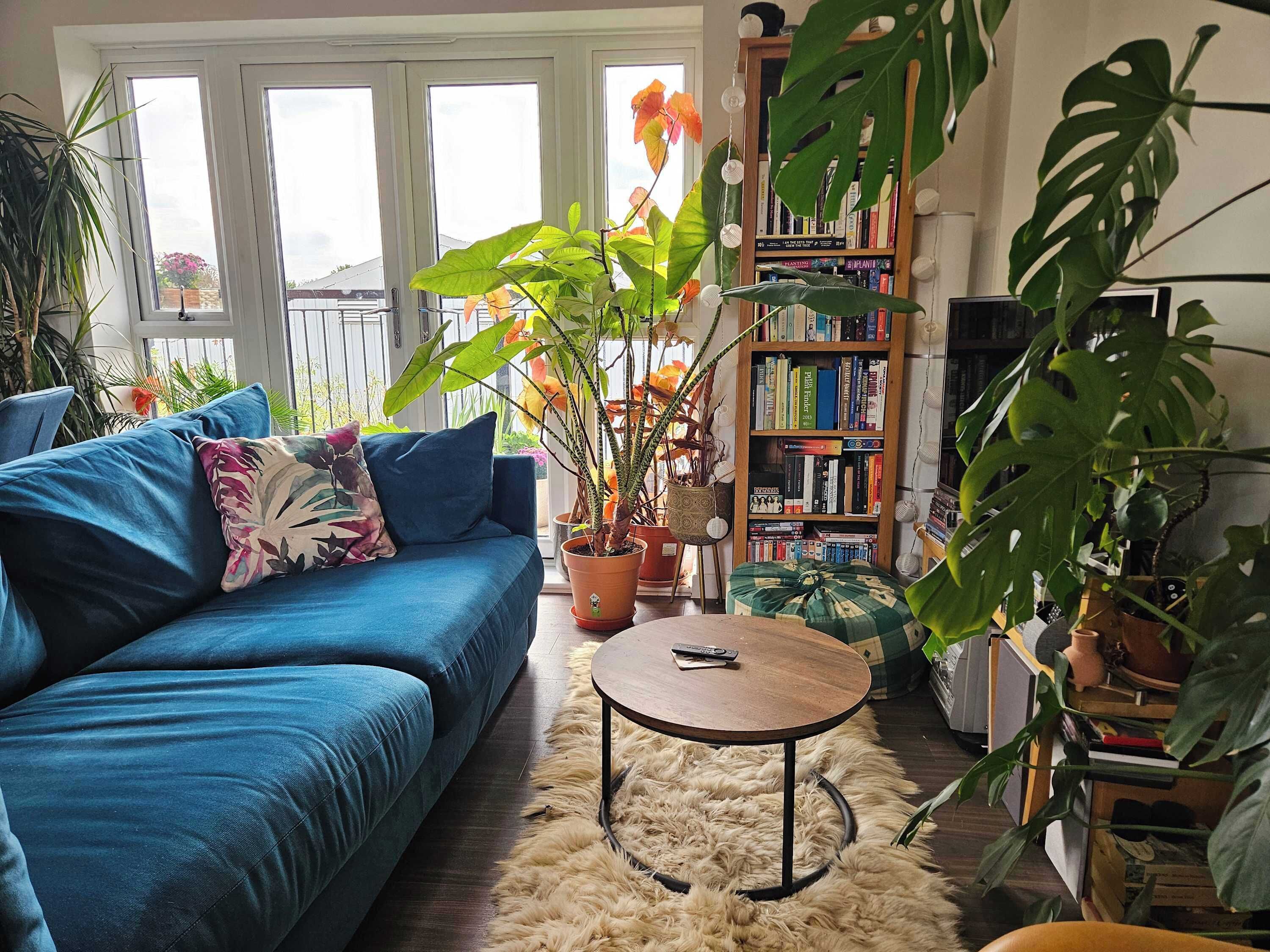 TV, DVD player, stereo, offices