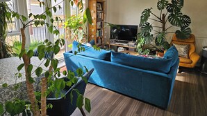 A living room with a blue sofa, a television, a bookshelf, and various plants.