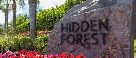 A large rock with the words "HIDDEN FOREST" engraved on it, surrounded by vibrant red and pink flowers.
