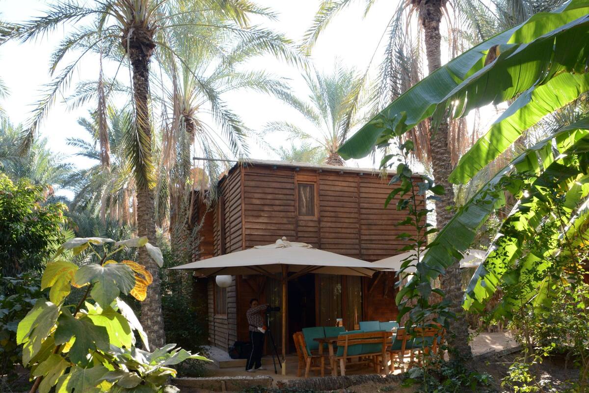 Superior Suite | Free WiFi