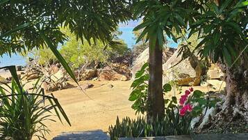 Playa