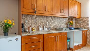 Cafetera i tetera, frigorífic, placa de cuina i bullidora elèctrica