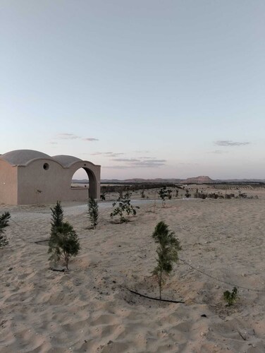 sabrina camp 