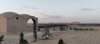 sabrina camp
