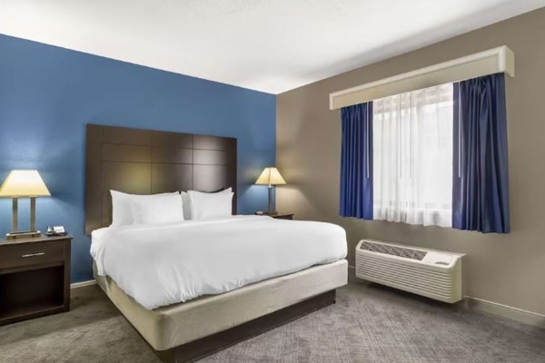 Sink into a plush king bed for a quiet night’s sleep.