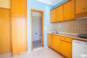 Fridge, stovetop, cookware/dishes/utensils - Apartment 'Nidri View B1' with Mountain View, Wi-Fi and Air Conditioning (Nydri)