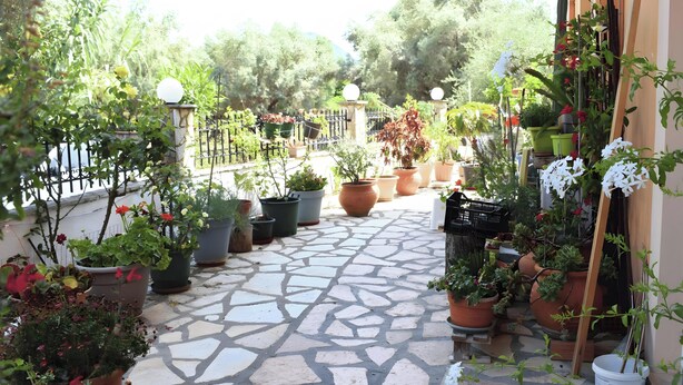 Une terrasse dallée de pierres, agrémentée de plantes en pot et délimitée par une clôture en métal.