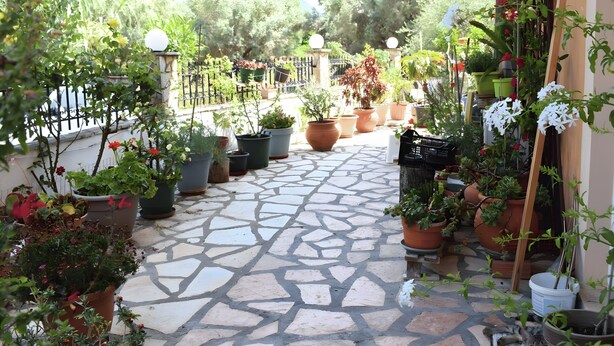 A stone-paved patio with potted plants and a metal fence.