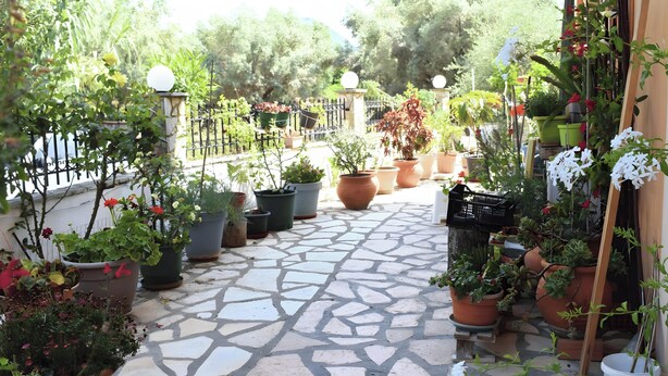 Une terrasse dallée de pierres, agrémentée de plantes en pot et délimitée par une clôture en métal.