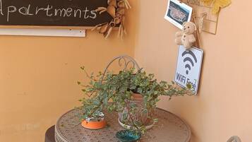 A small round table with a potted plant, a chair, a chalkboard sign, and a wall-mounted photo display.