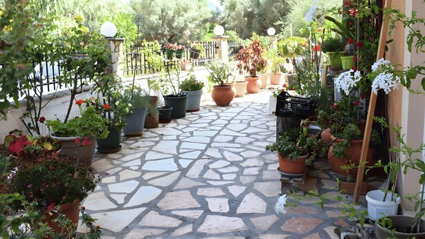 A stone-paved pathway lined with potted plants and a metal fence.