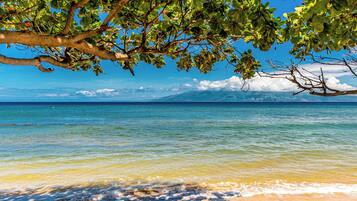 Playa en los alrededores