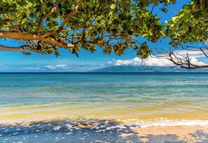 Playa en los alrededores