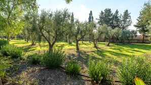An outdoor garden with trees and shrubs. - Villa 'Degli Ulivi' with Private Terrace and Air Conditioning (Manduria(c.da Scorcora))