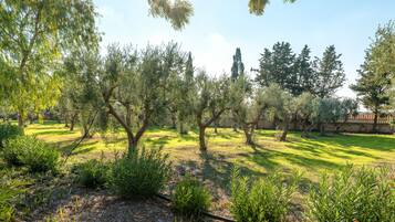 Parco della struttura