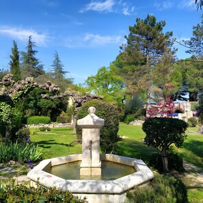 Property grounds - Domaine de L'arbre du magnan - holiday home in southern Ardèche (Chandolas)