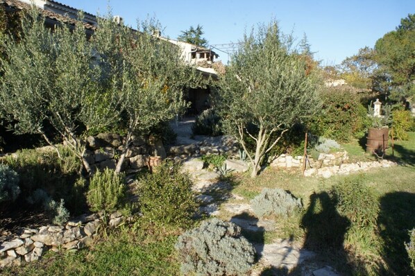 Un jardin avec des oliviers, un mur de pierre et un bâtiment à l’aspect rustique.