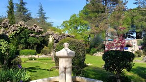 Un giardino con una fontana, immerso nel verde e alberi.
