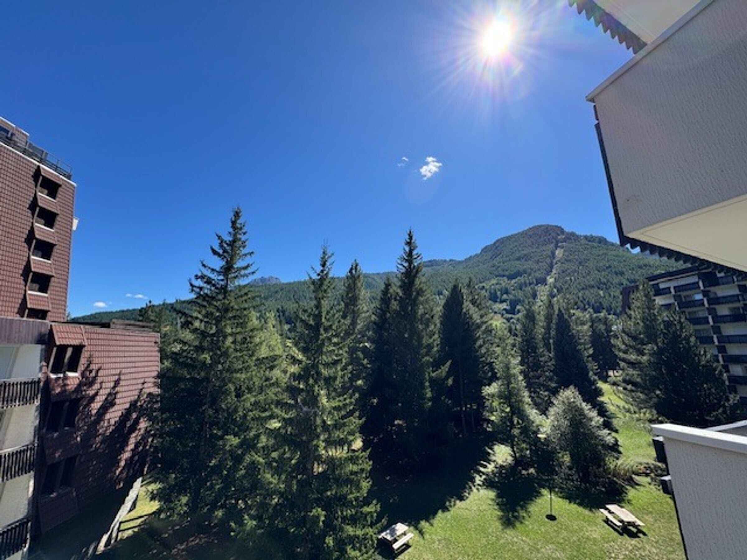 Vista d'una muntanya amb un bosc dens, un cel clar i edificis al primer pla.