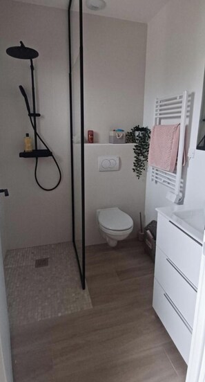 Shower, hair dryer, towels, toilet paper