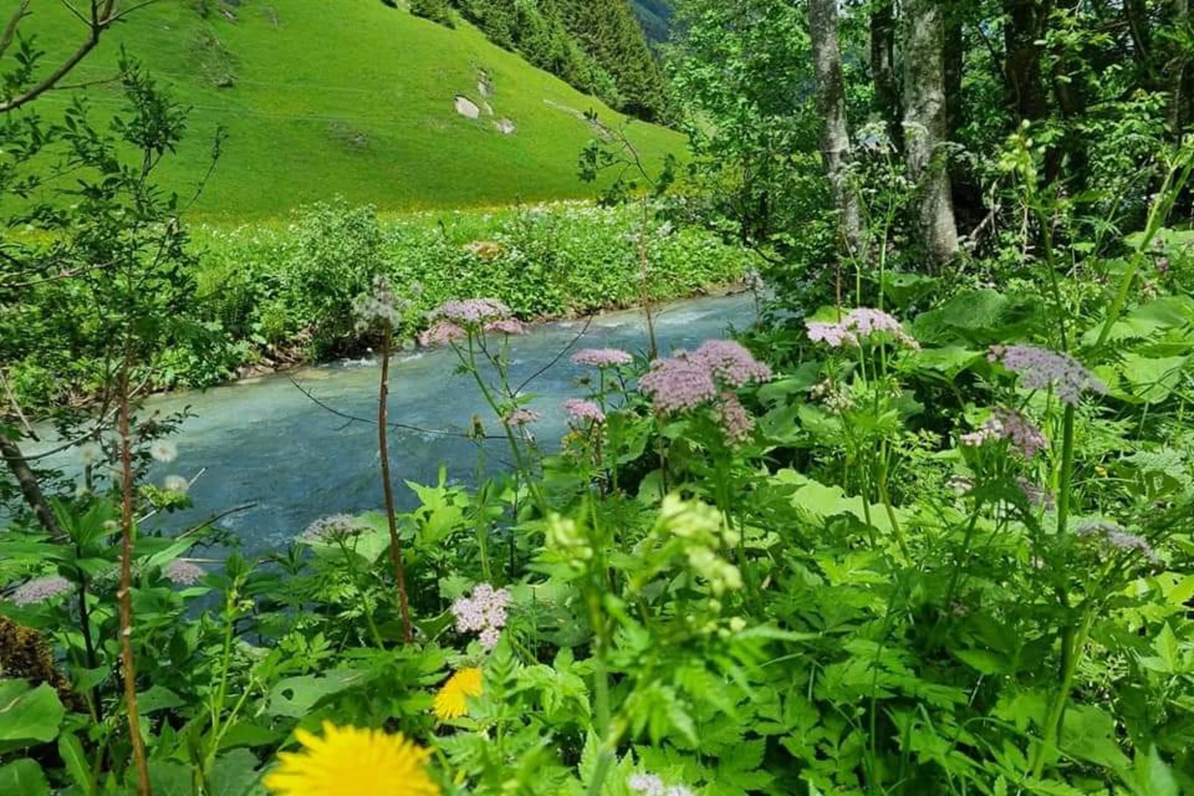 المنطقة المحيطة بالمنشأة