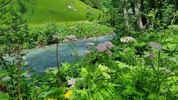 المنطقة المحيطة بالمنشأة