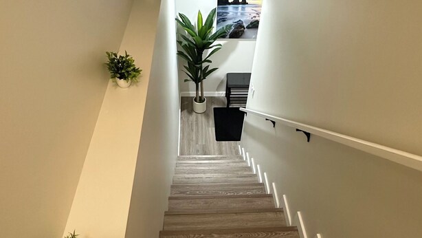 Un escalier en bois, avec des murs blancs et une plante sur le côté gauche.