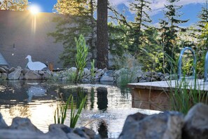 Property grounds - Eagles Nest Star Dome, Hot Tub & Org Swim Pond (Coeur d'Alene)