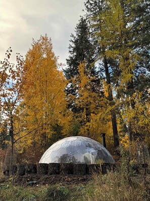 Miscellaneous - Eagles Nest River View, Dome, Hot Tub & Swim Pond (Coeur d'Alene)