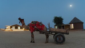 Een kameel met een zadel en een wagen in een woestijnlandschap, met gebouwen op de achtergrond.