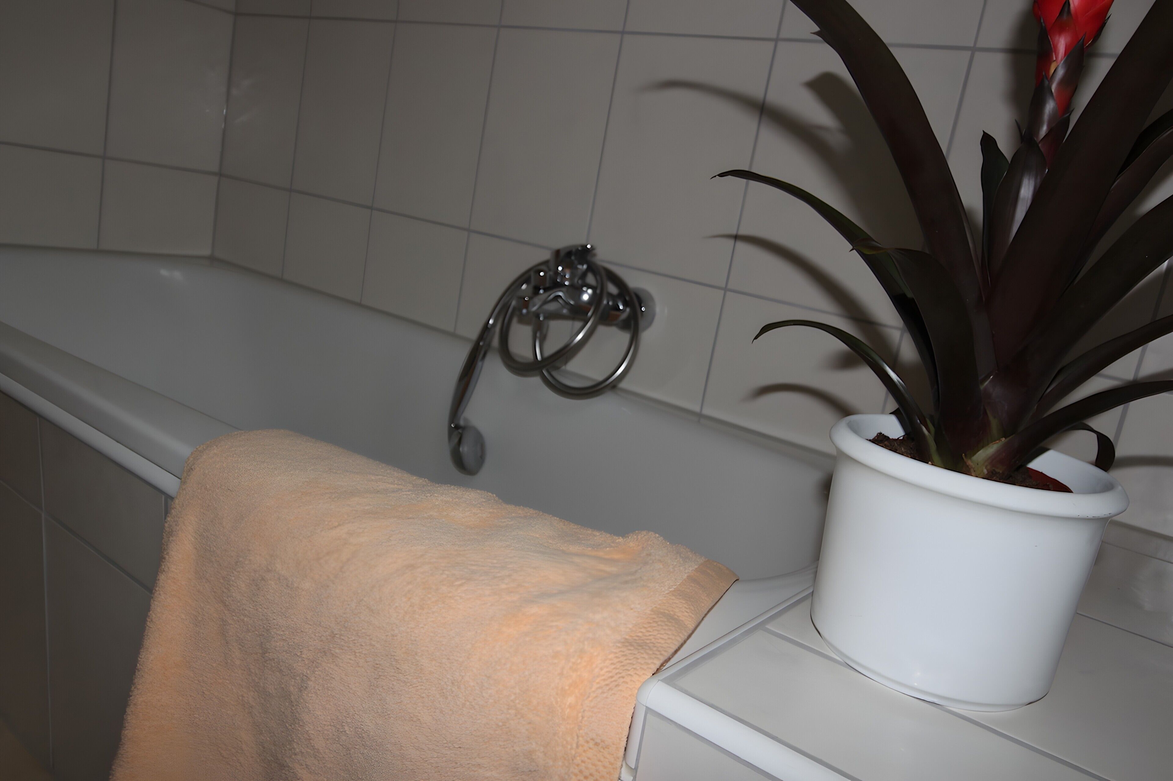 A bathroom with a bathtub, a towel, and a potted plant.