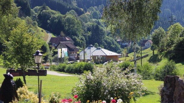 Un village rural avec des maisons, un jardin fleuri et une chaîne de montagnes en arrière-plan.
