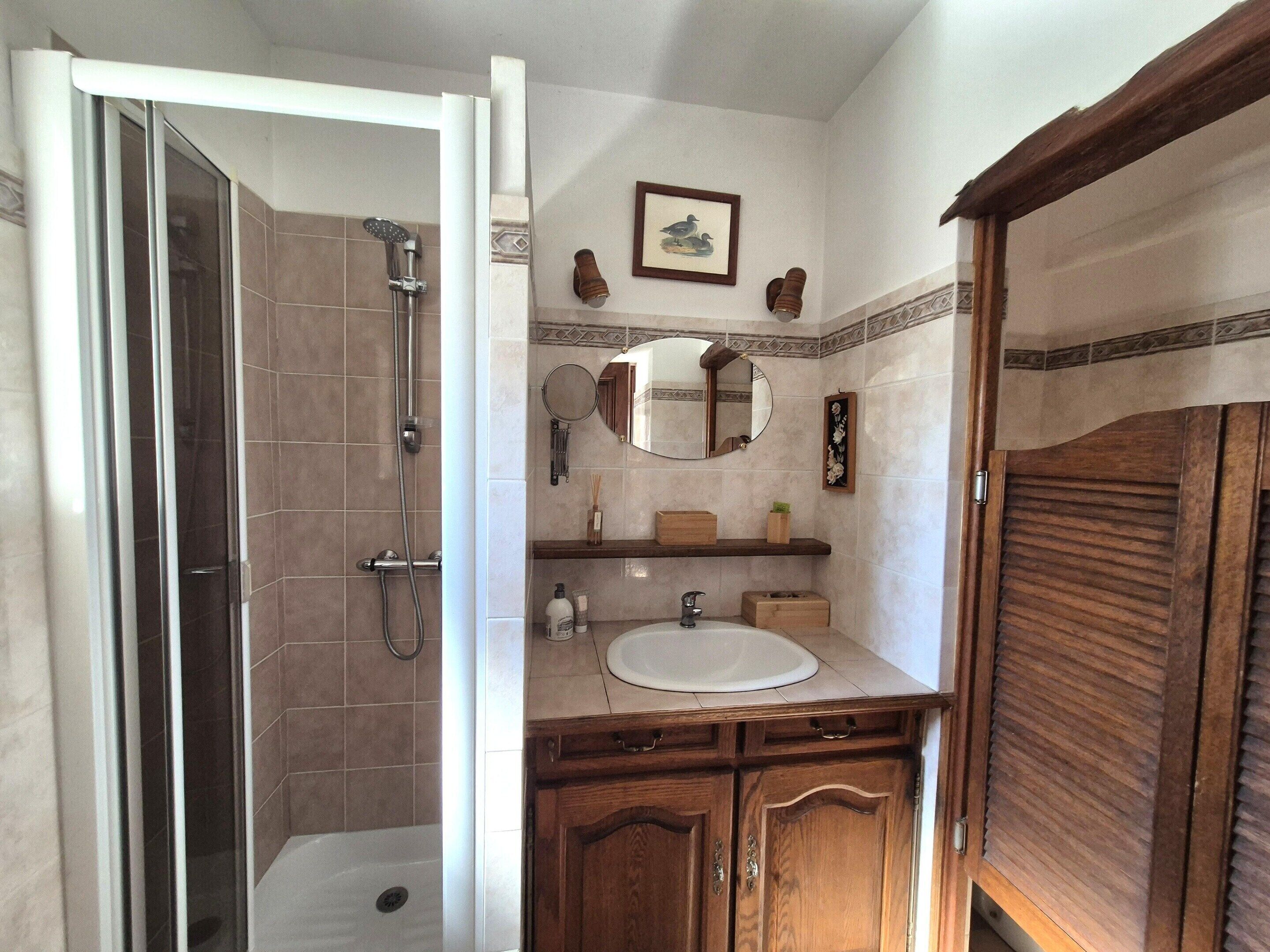 A bathroom with a shower, a sink, a mirror, and wooden cabinets.