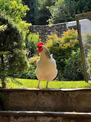 Terrain de l’hébergement 