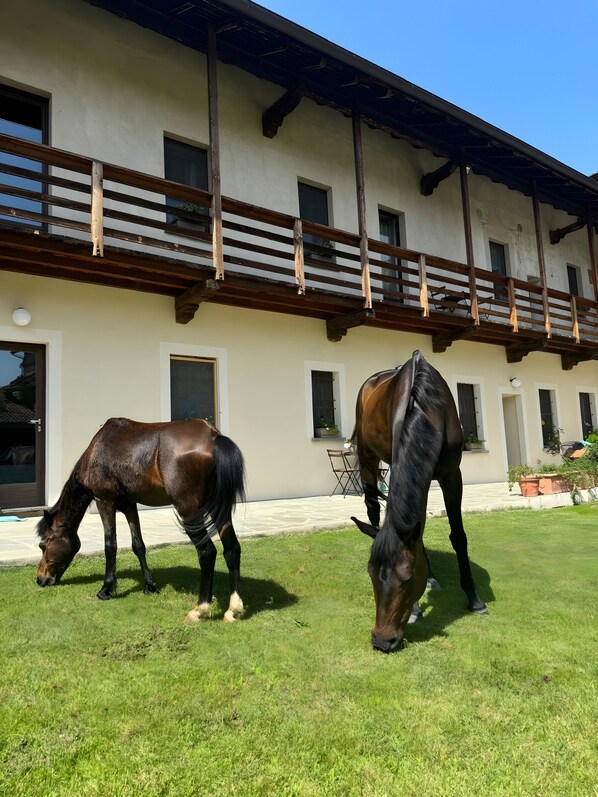 A stable with two horses grazing in front of a building with a wooden balcony.