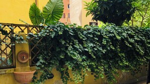 A yellow building with a tiled floor, a green plant, and a metal fence.