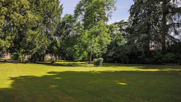Un parque con césped, árboles y cielo despejado.